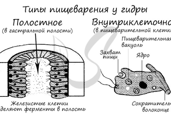 Ссылка на кракен