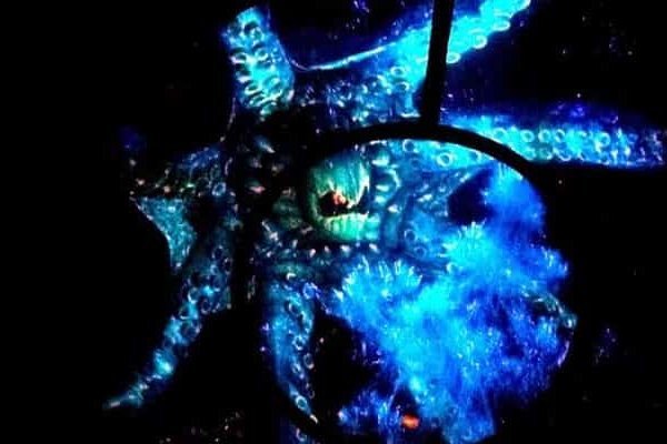 Kraken tor