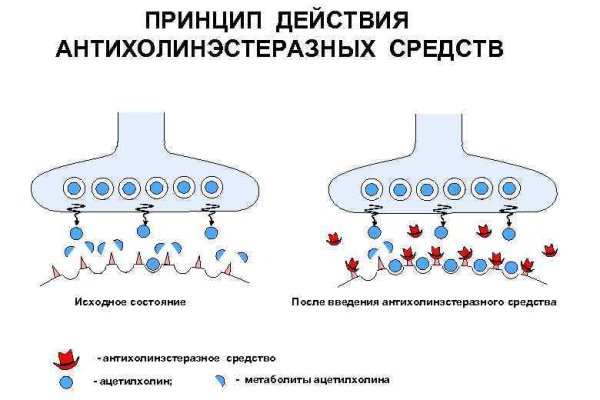 Кракен браузер ссылка